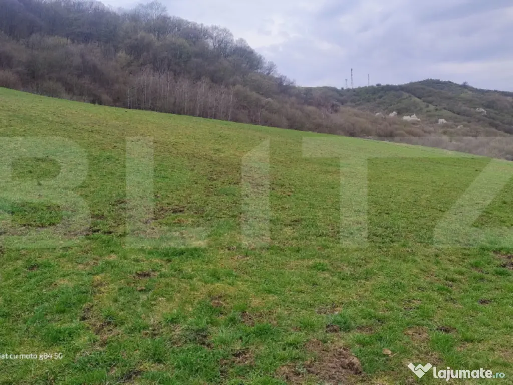 Teren superb 2.500 mp în Nicula – liniște, natură și p 