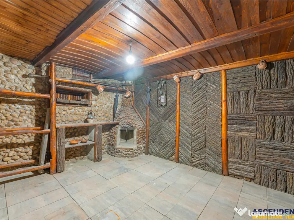 FILM 3D! Vila high tech, cu semineu, jacuzzi, terasa, 10 cam 