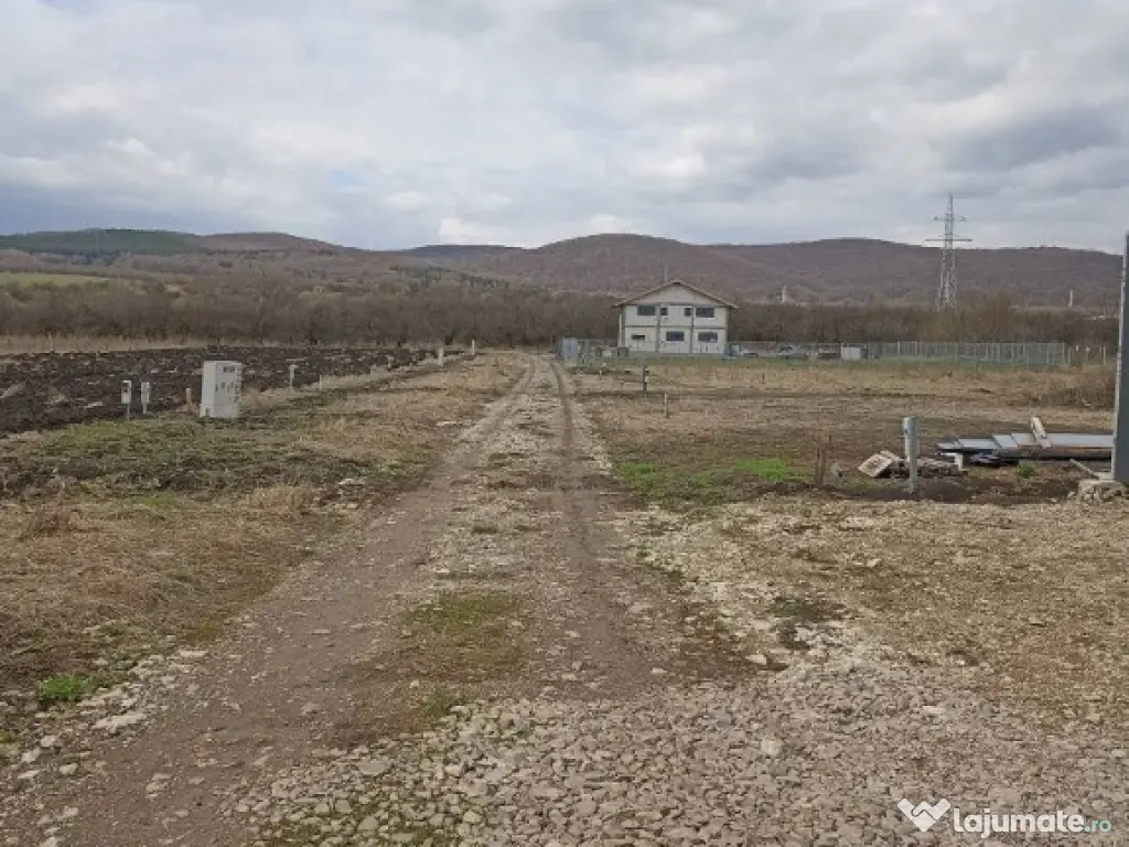 De vânzare complex imobiliar în Sfântu Gheorghe 