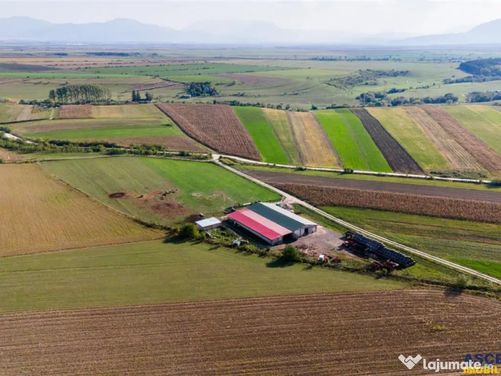 FILM! 18.000 mp, extravilan, agricol constructii:ferma,inve
