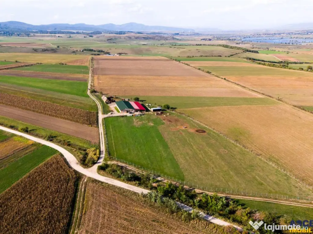 FILM! 18.000 mp, extravilan, agricol constructii:ferma,inve