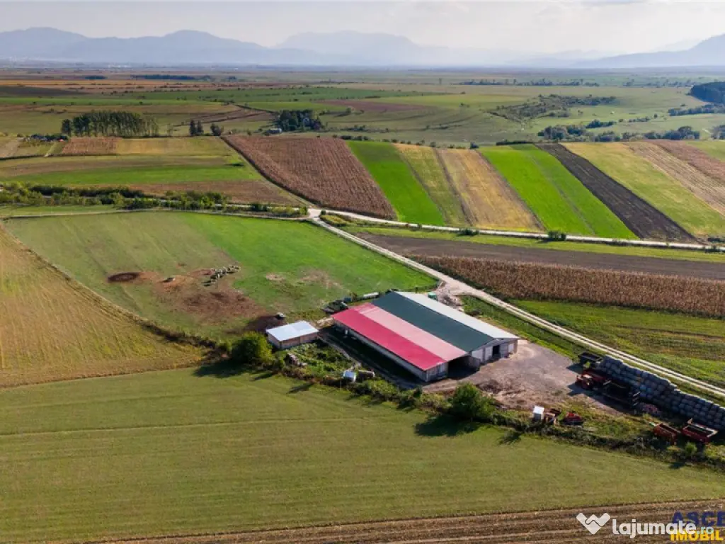 FILM! 18.000 mp, extravilan, agricol constructii:ferma,inve
