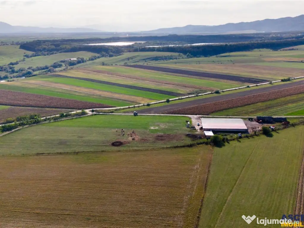 FILM! 18.000 mp, extravilan, agricol constructii:ferma,inve