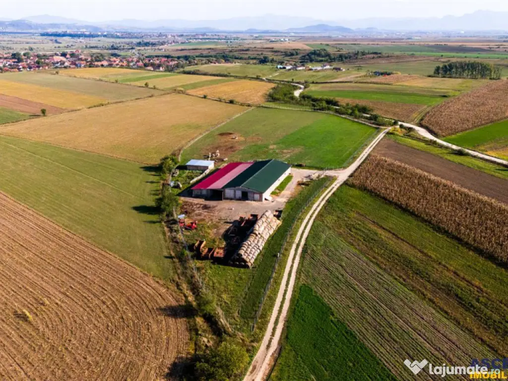 FILM! 18.000 mp, extravilan, agricol constructii:ferma,inve