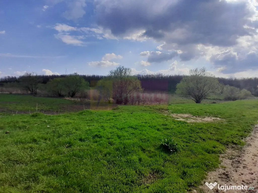 DE VANZARE TEREN 3400 MP IN SAT PODU ILFOVAT / COM BUTURU... 