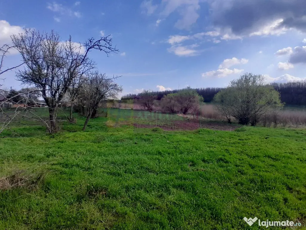 DE VANZARE TEREN 3400 MP IN SAT PODU ILFOVAT / COM BUTURU... 