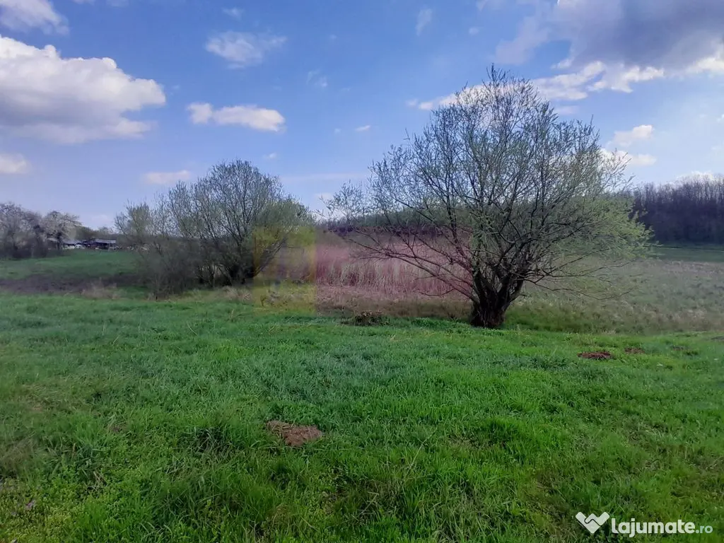 DE VANZARE TEREN 3400 MP IN SAT PODU ILFOVAT / COM BUTURU... 