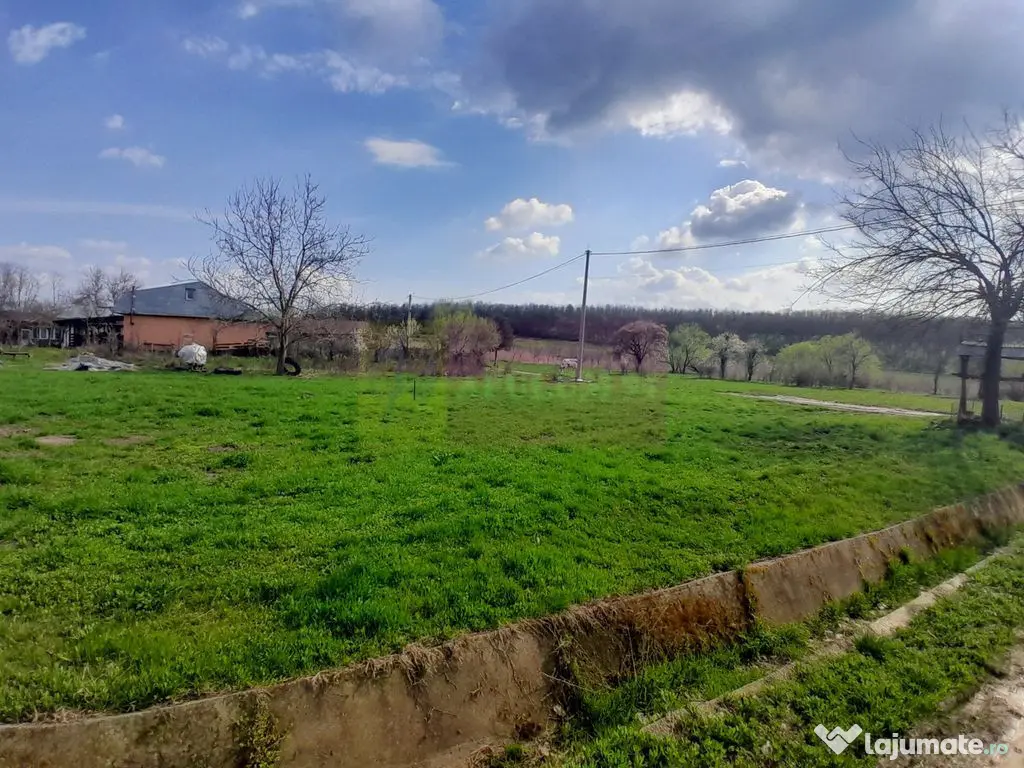 DE VANZARE TEREN 3400 MP IN SAT PODU ILFOVAT / COM BUTURU... 