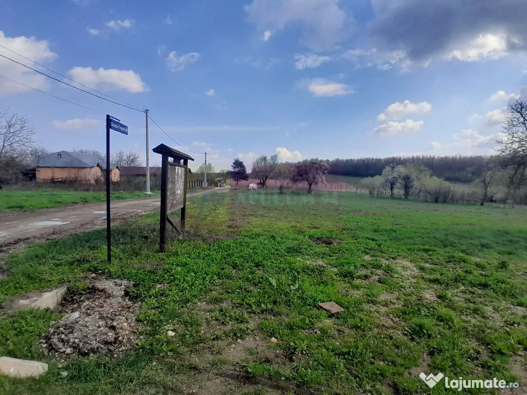 DE VANZARE TEREN 3400 MP IN SAT PODU ILFOVAT / COM BUTURU... 