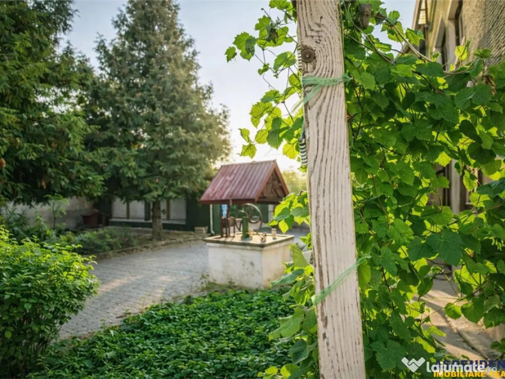 Casa saseasca autentica,1.100 mp teren, pomi fructiferi si p 