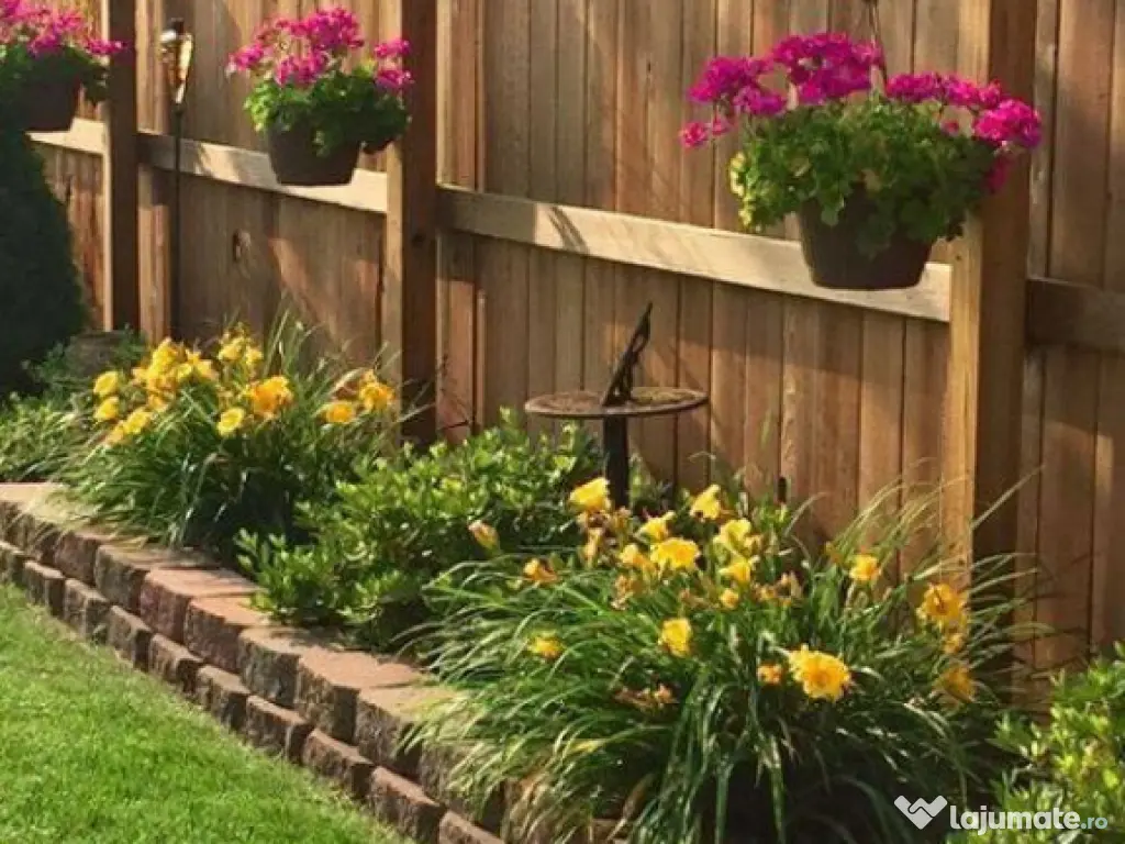 Casa saseasca autentica,1.100 mp teren, pomi fructiferi si p 