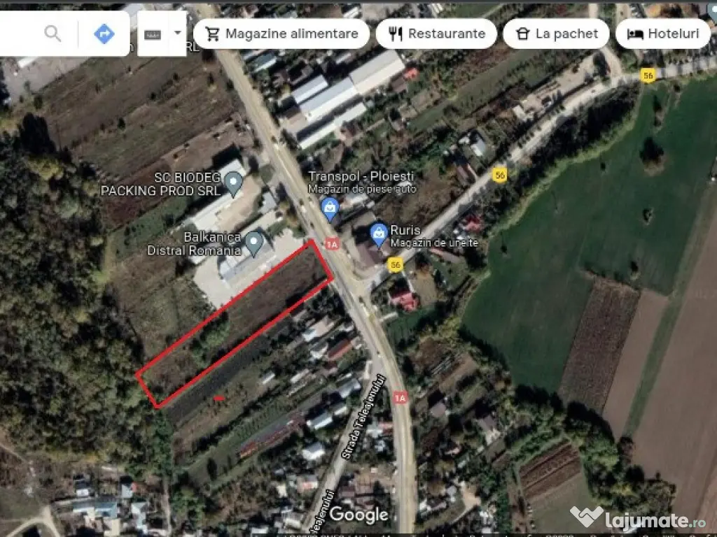 Boldesti - DN1A teren 5900 mp 