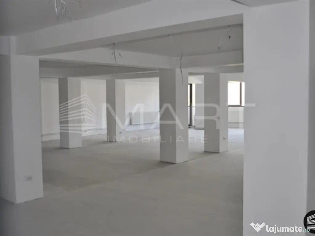 Spatiu birouri & comercial Central 