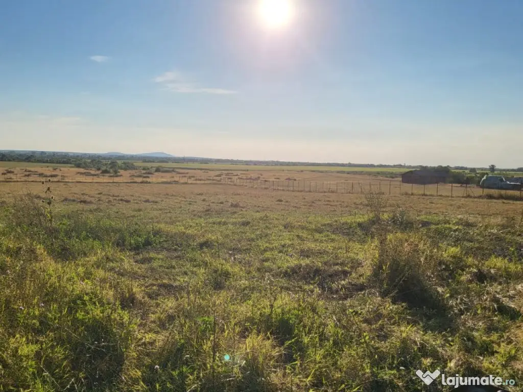 Teren 5000 mp in Sebis - ID : RH-33576-property