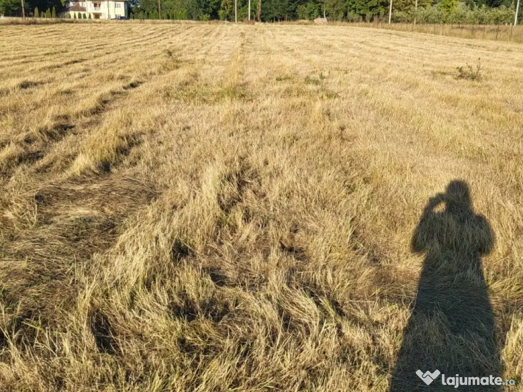 Teren 5000 mp in Sebis - ID : RH-33576-property