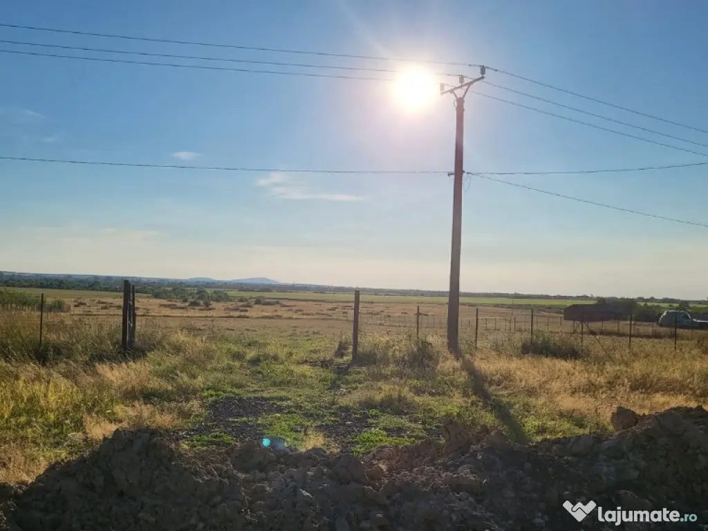 Teren 5000 mp in Sebis - ID : RH-33576-property