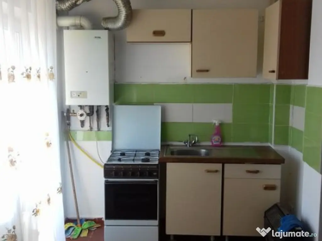 Apartament 1 camera Bucovina