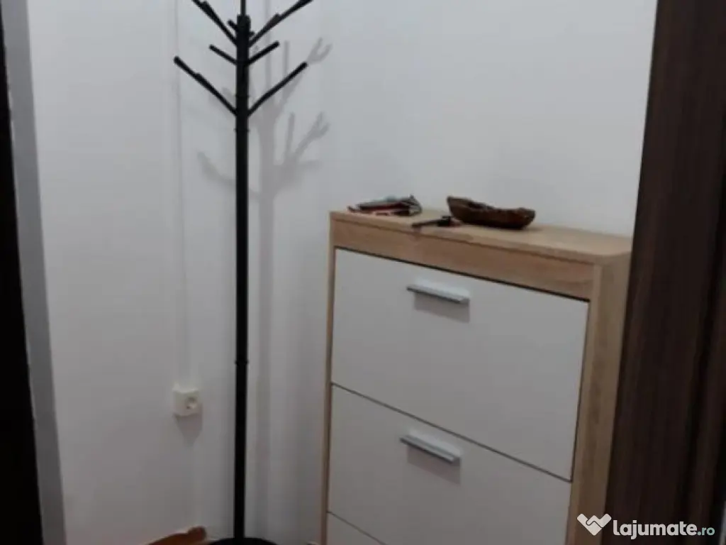 Garsoniera zona centrala, Take Ionescu