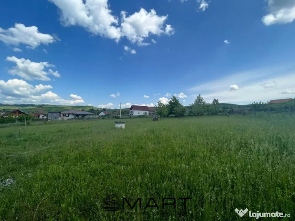 Casa Hamba 250 mp utili 2000 m teren