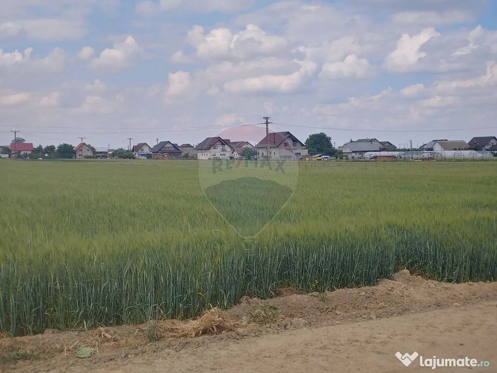 Teren intravilan 6,600mp Dumbraveni / Strada Principala s...