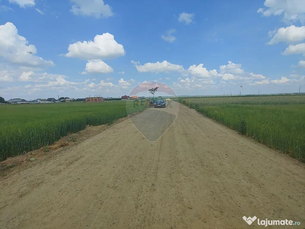 Teren intravilan 6,600mp Dumbraveni / Strada Principala s...