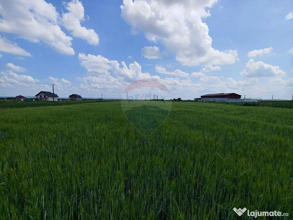 Teren intravilan 6,600mp Dumbraveni / Strada Principala s...