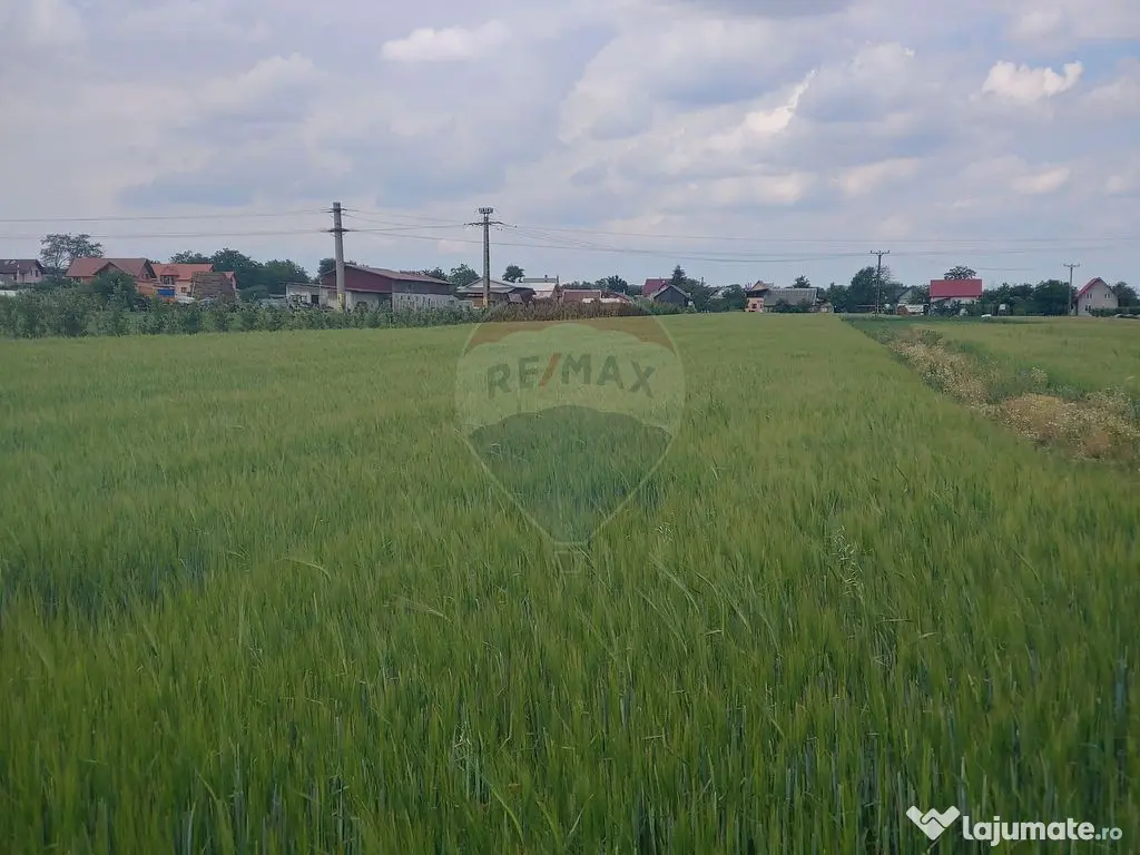 Teren intravilan 6,600mp Dumbraveni / Strada Principala s...