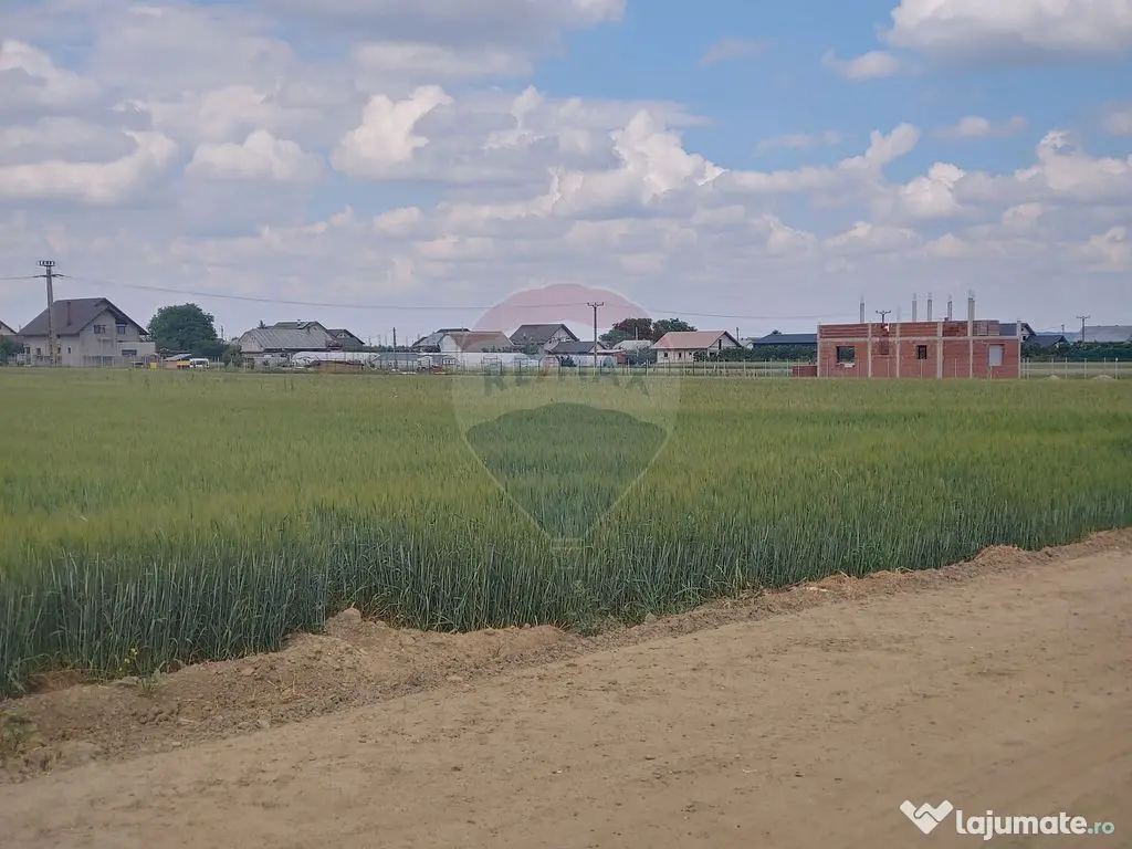 Teren intravilan 6,600mp Dumbraveni / Strada Principala s...