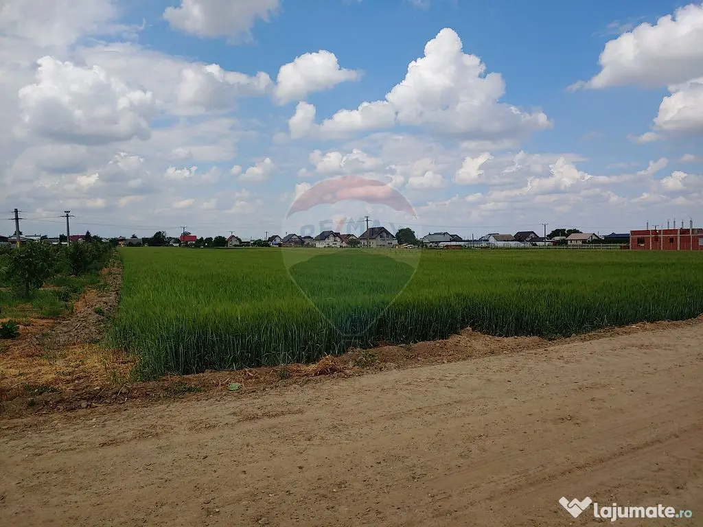 Teren intravilan 6,600mp Dumbraveni / Strada Principala s...