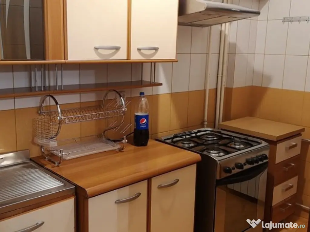 Apartament o camera Bucovina