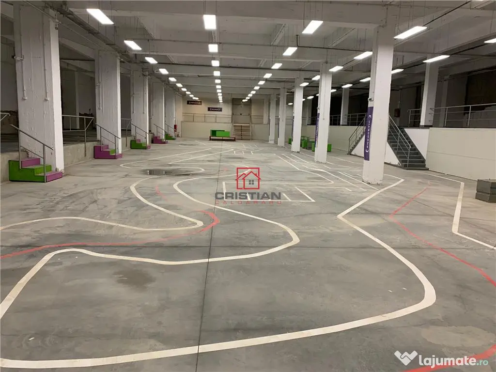 Depozit/hala/spatiu industrial Politehnica - Apaca