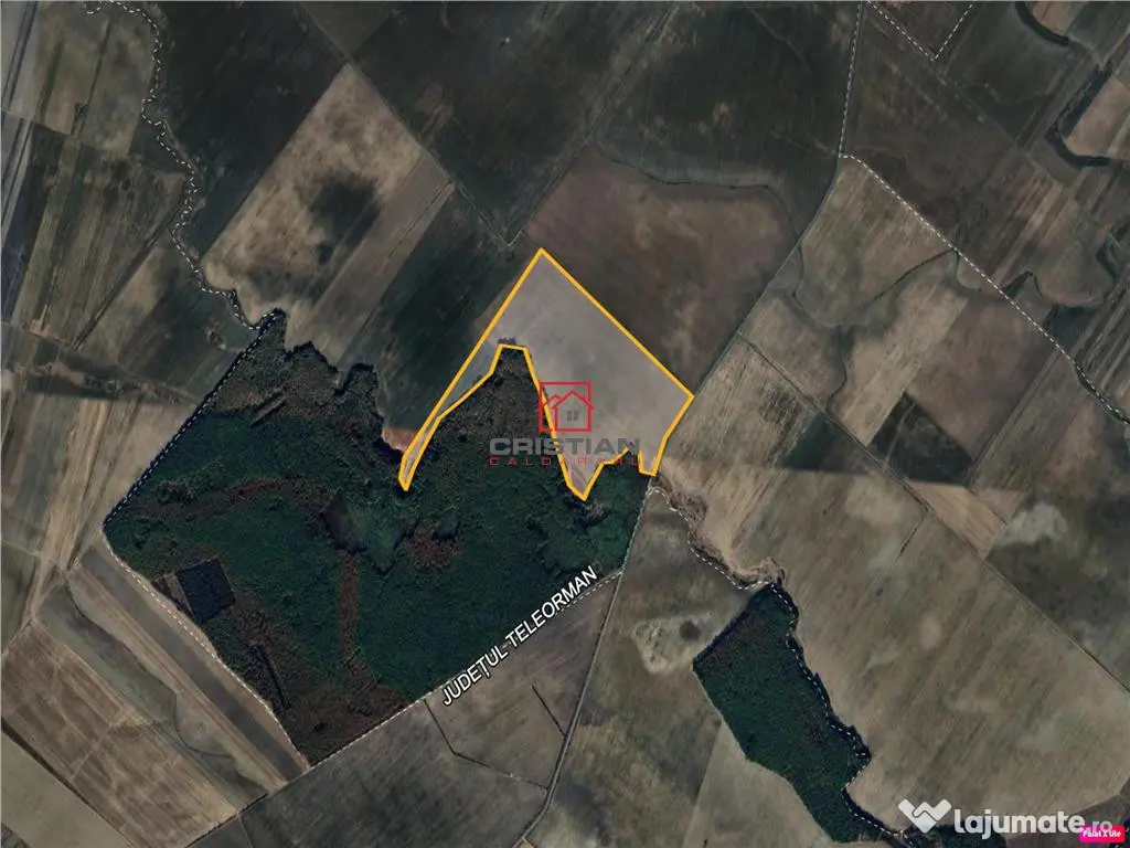 Teren agricol Corbii Mari, Dambovita