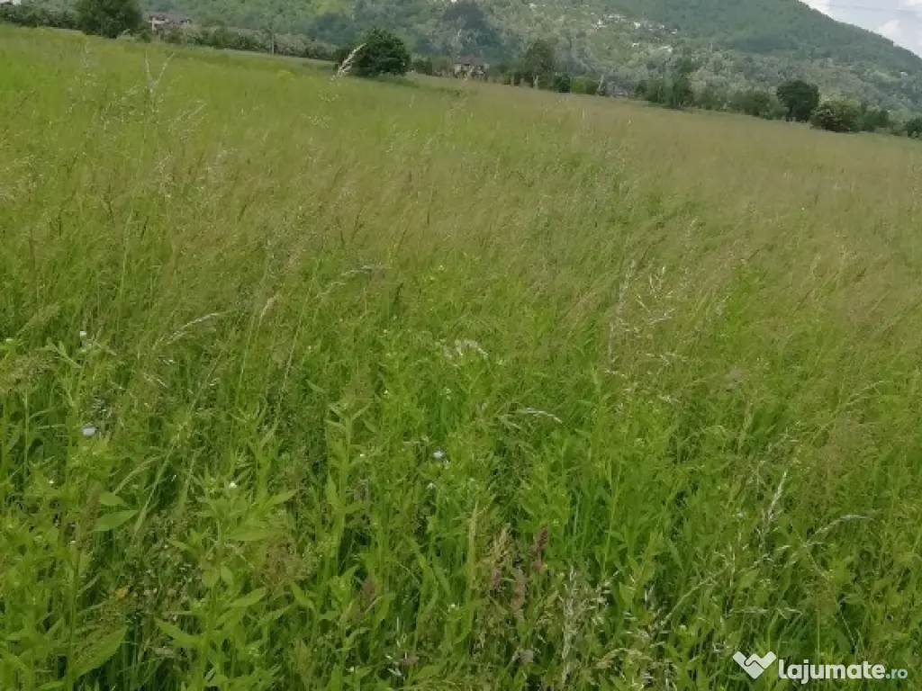 Teren Vaduri, com.Al.cel Bun