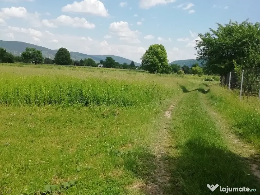 Teren Vaduri, com.Al.cel Bun