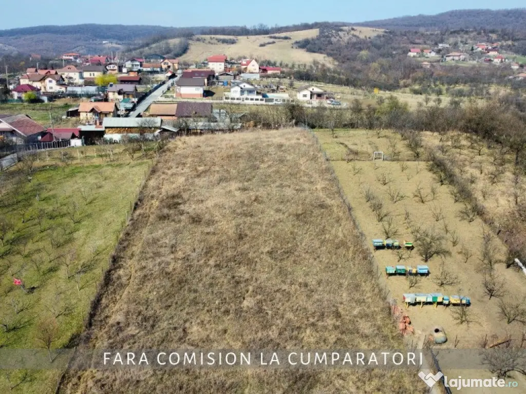 CAZANESTI, TEREN 3336mp - DESCHIDERE 27m 