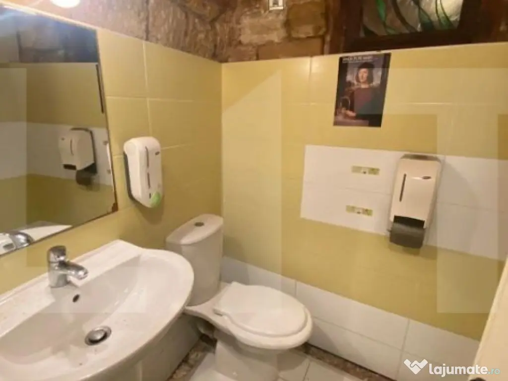 Casa cu 8 camere, 315 mp utili, pentru clinica, birou sau lo