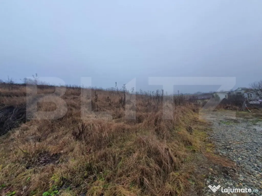 Teren intravilan, 30 de ari, Sigmir - cu Autorizatie de cons