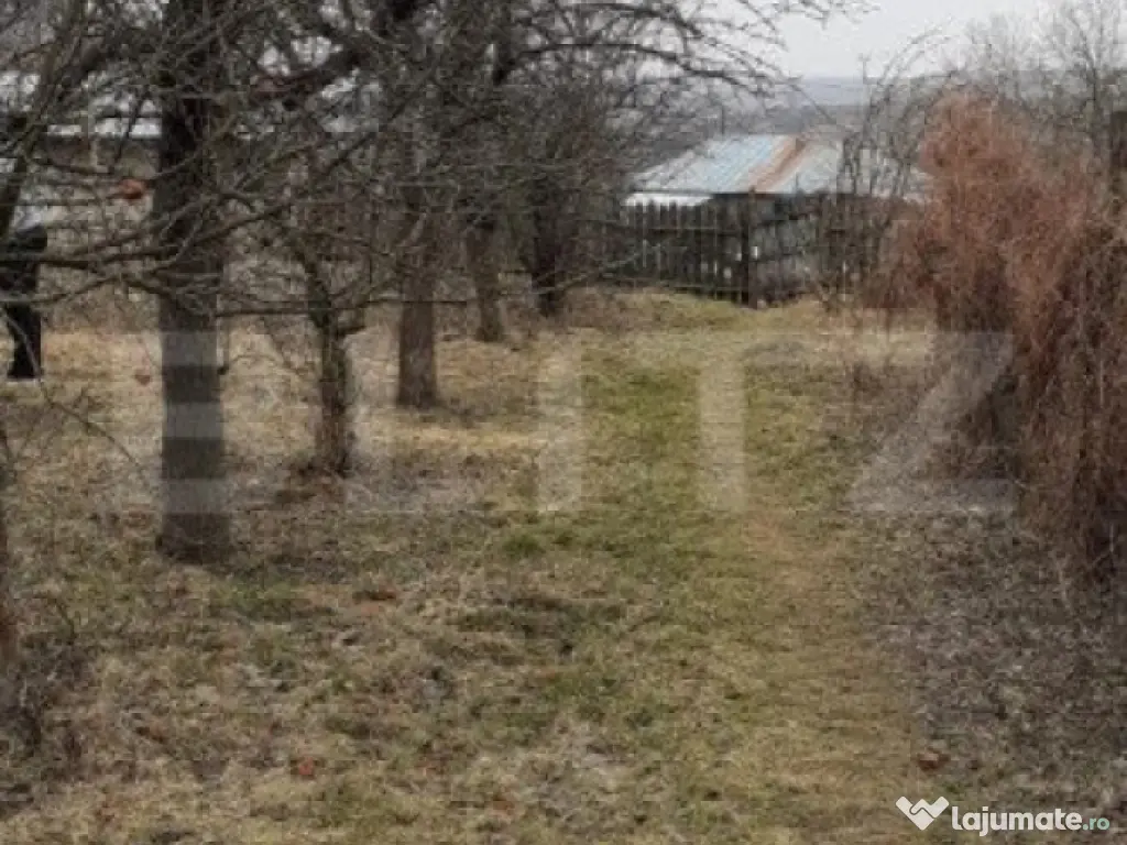 Casa batraneasca cu teren de 6700 mp intravilan, Ipatele