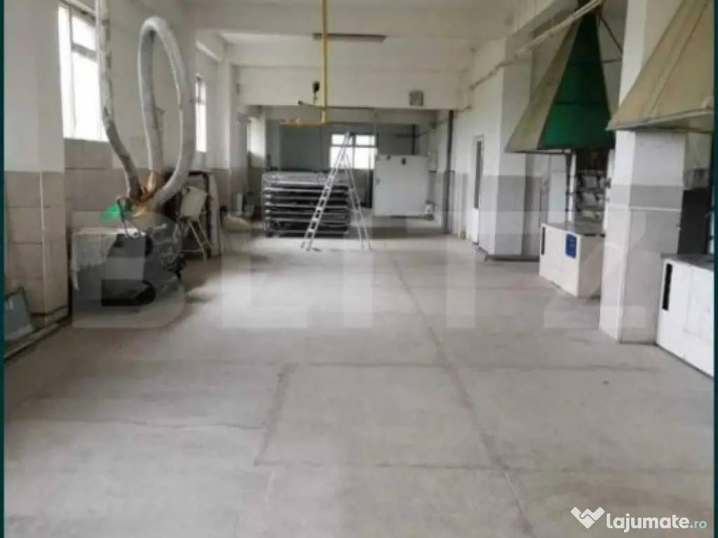 Brutarie S+P+E 600 mp, teren 1679 mp, Filipestii de Padure