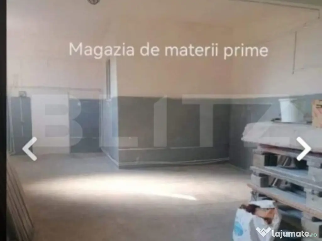 Brutarie S+P+E 600 mp, teren 1679 mp, Filipestii de Padure