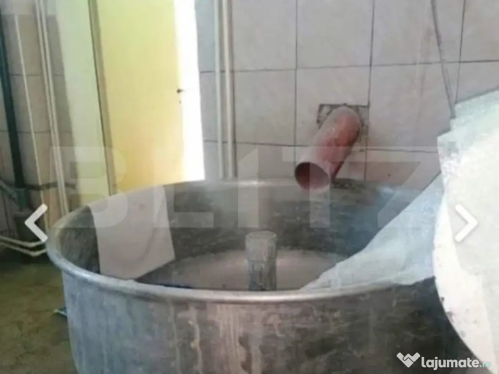 Brutarie S+P+E 600 mp, teren 1679 mp, Filipestii de Padure