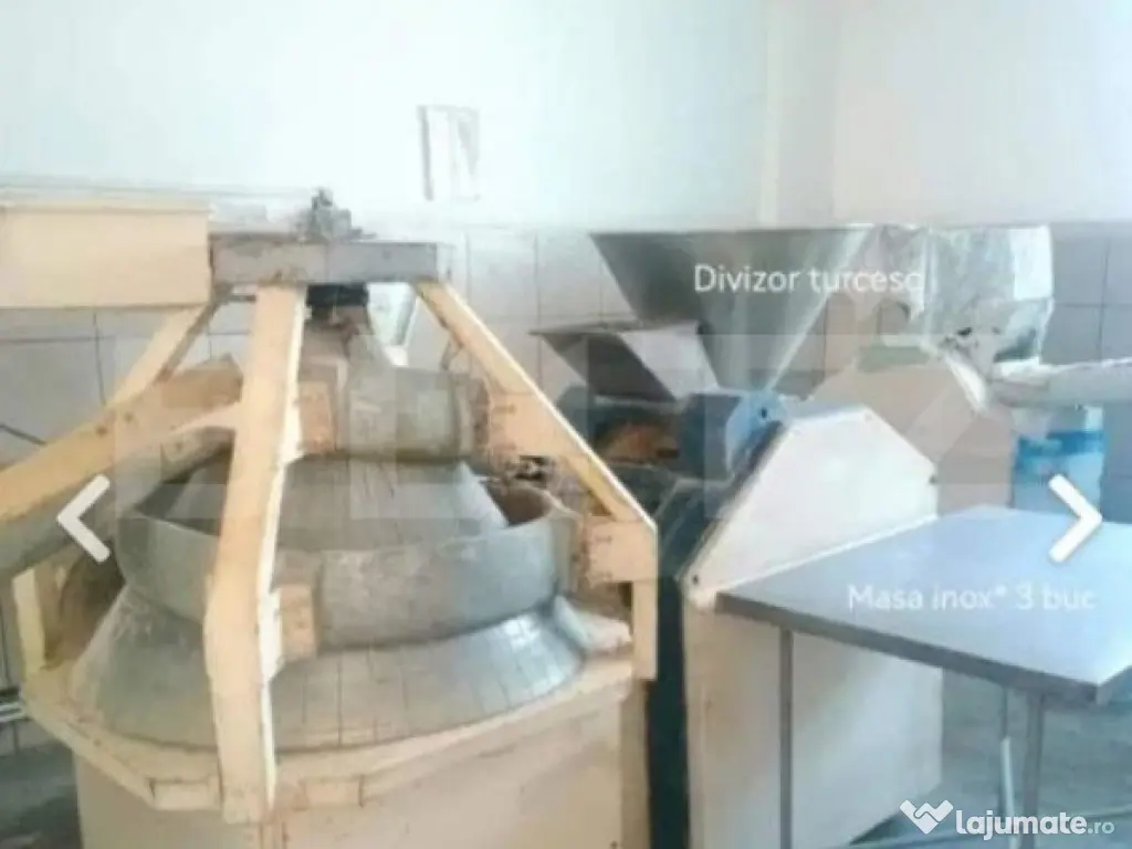 Brutarie S+P+E 600 mp, teren 1679 mp, Filipestii de Padure