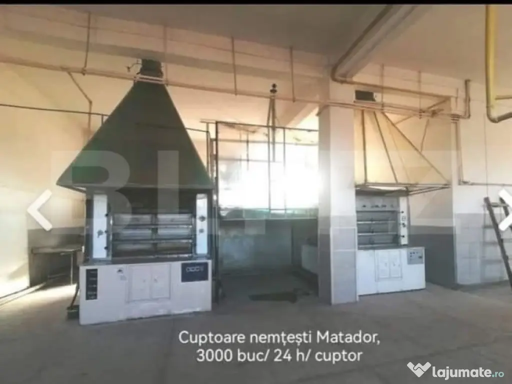 Brutarie S+P+E 600 mp, teren 1679 mp, Filipestii de Padure