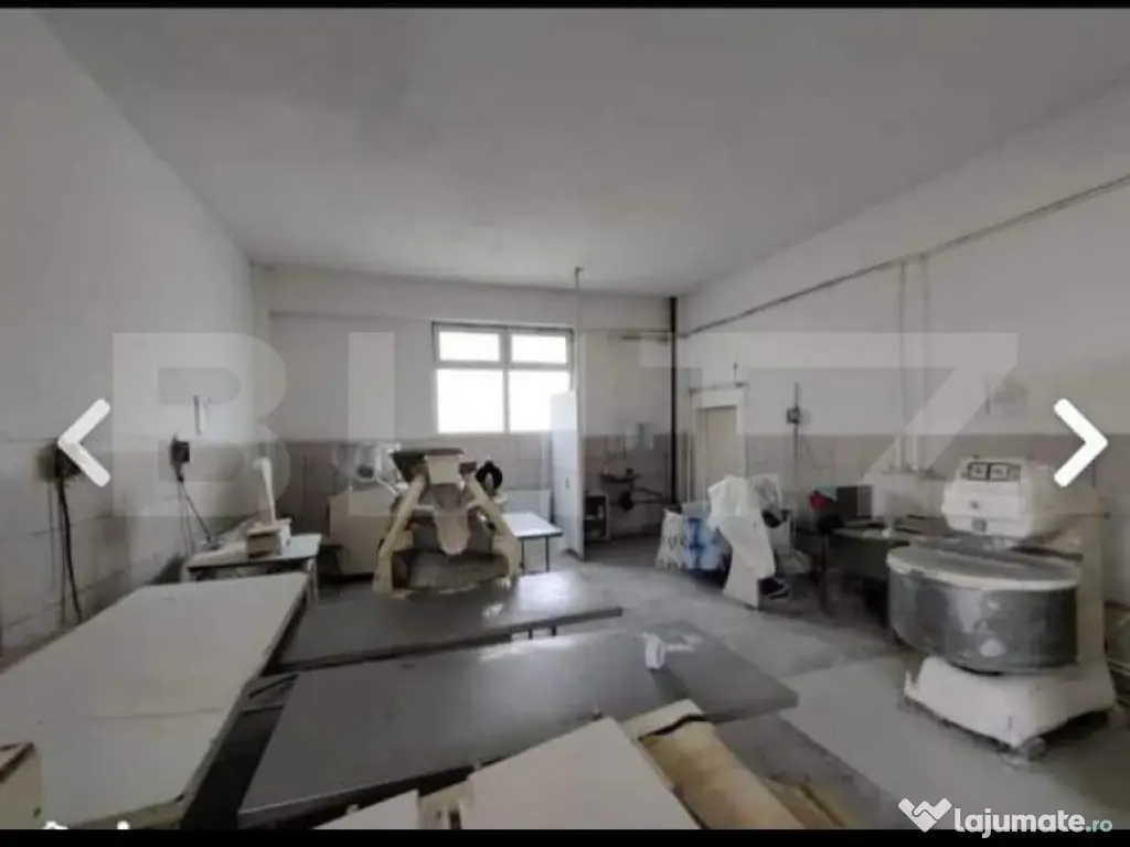 Brutarie S+P+E 600 mp, teren 1679 mp, Filipestii de Padure