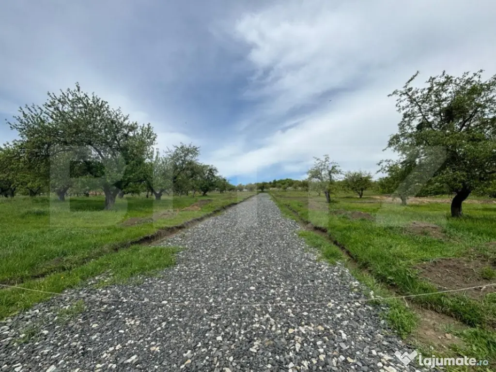 Teren extravilan, zona Sigmir, 746mp