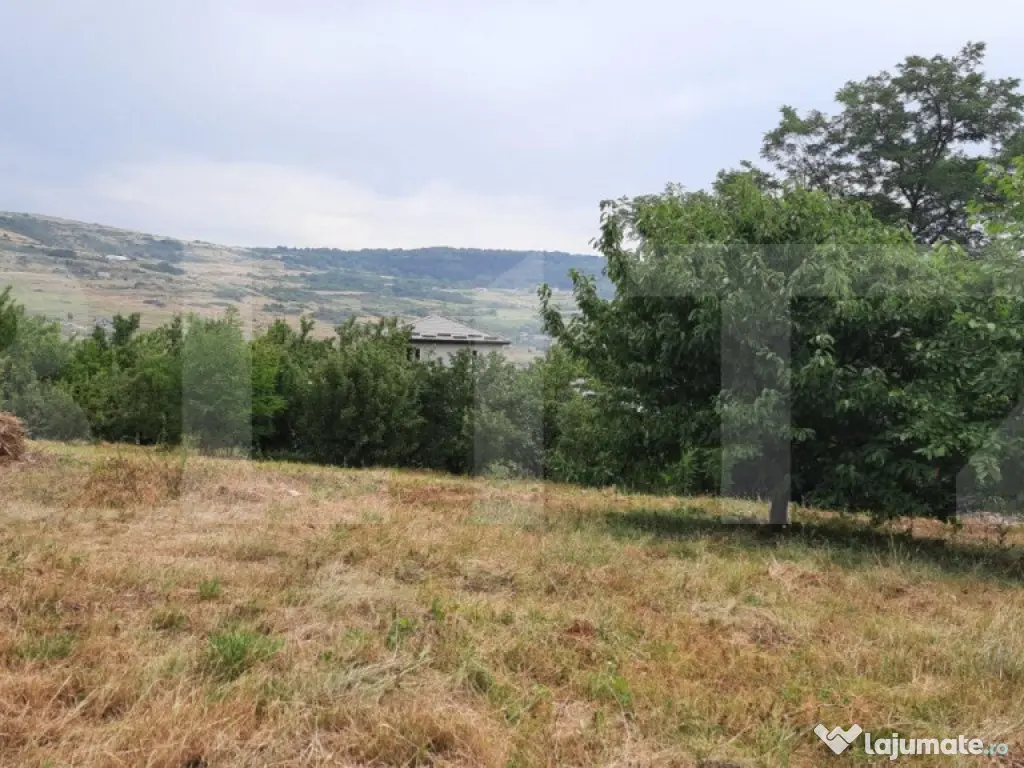 Teren intravilan construibil 2000 mp, Valea Chintaului, curt