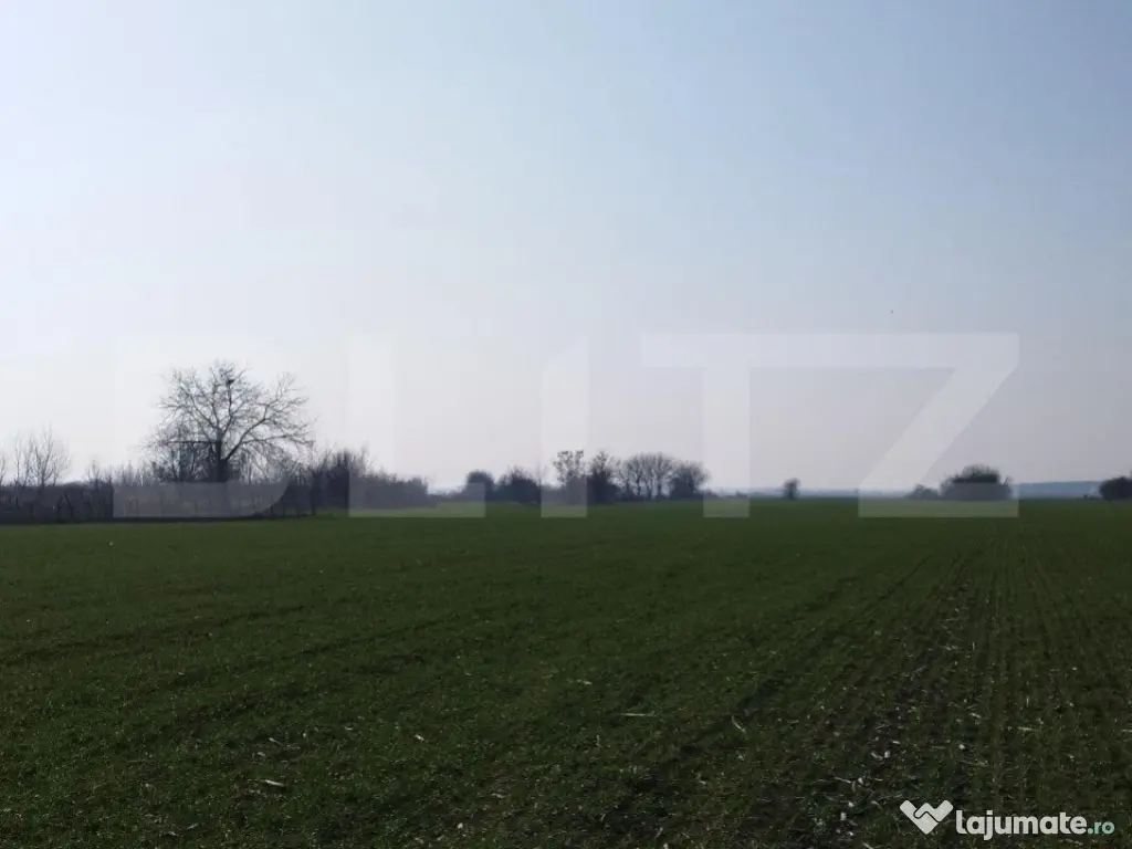 Teren 12223mp, deschidere 27mp, intravilan, Berceni