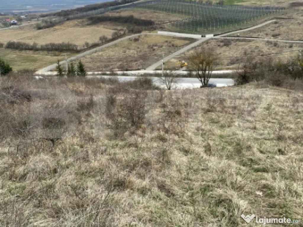 Teren intravilan 1.525 mp – Valea Jelnei, aproape de Bistr