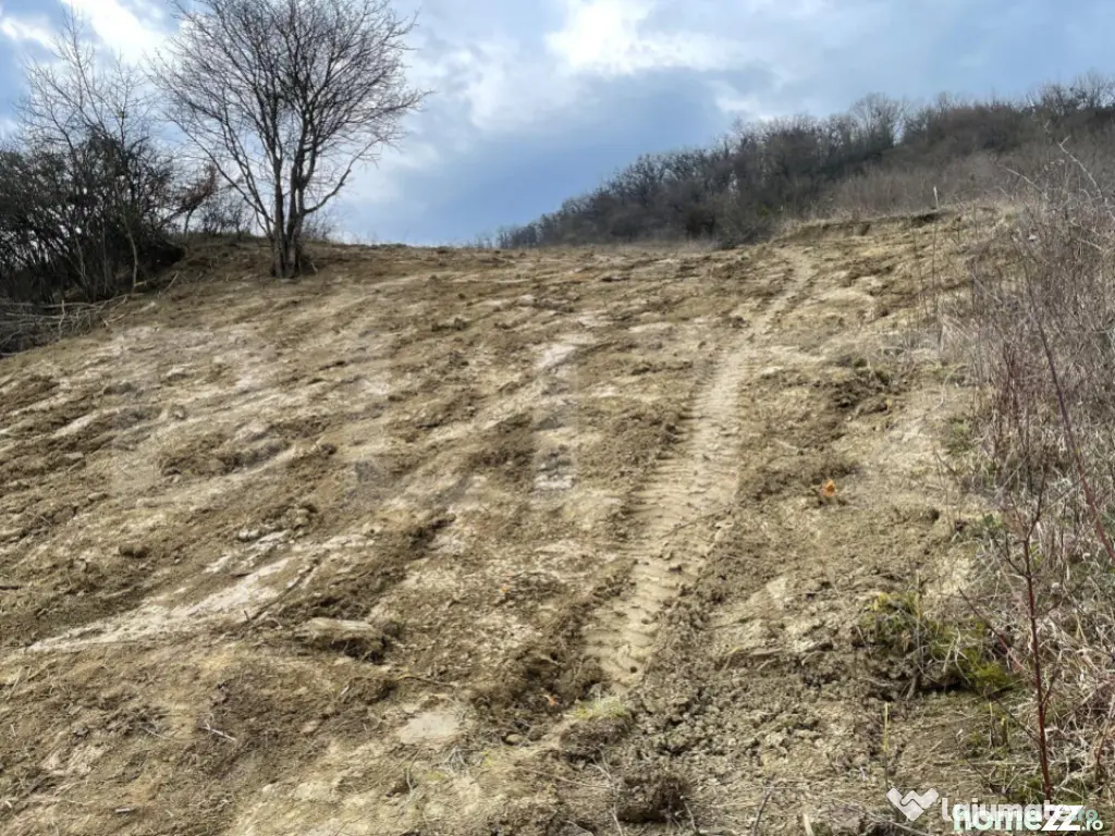 Teren intravilan 1.525 mp – Valea Jelnei, aproape de Bistr