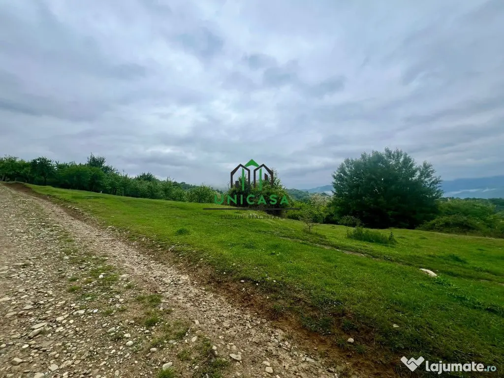 Teren 3507 mp/ Seaca/Calimanesti 